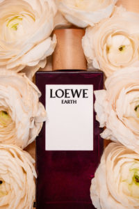 Loewe Earth Parfüm auf Blumen arrangiert.