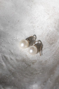 Perlen Ohrringe in einer Muschel arrangiert und mit natürlichem Licht beleuchtet.